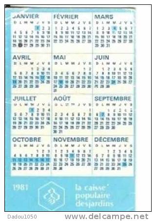 CALENDRIER DE POCHE - Petit Format : 1981-90