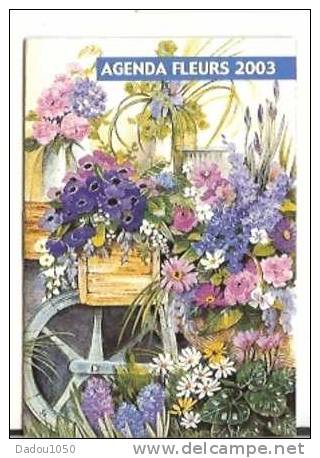 CALENDRIER DE POCHE - Kleinformat : 2001-...