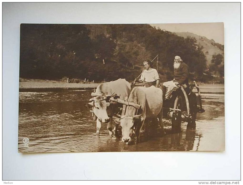 Romania -Ox Ford -River Crossing   - Costumes - Bellu   -Bucuresti  - Cca  1910-20´s      VF   D29839 - Montenegro