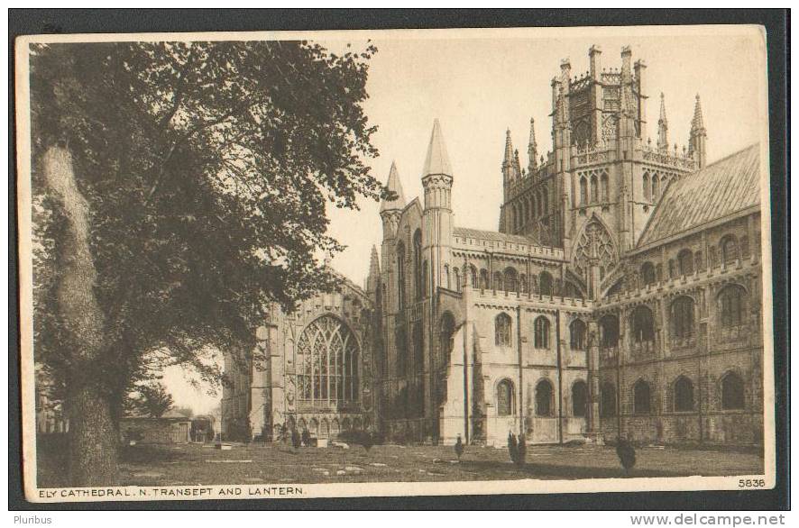 ELY CATHEDRAL, VINTAGE POSTCARD - Ely