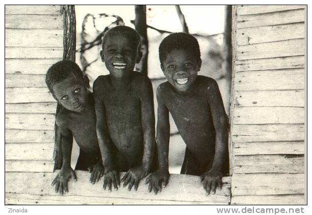 CARTE POSTALE DE SAINT-DOMINGUE - JEAN POPINCOURT POUR AMNESTY INTERNATIONAL - Autres & Non Classés