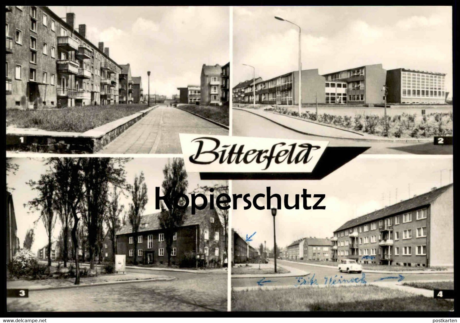 ÄLTERE POSTKARTE BITTERFELD SIEDLUNG WILLI PÖNICKE ANTON SAEFKOW STRASSE OBERSCHULE Wolfen Sachsen-Anhalt Cpa AK - Bitterfeld