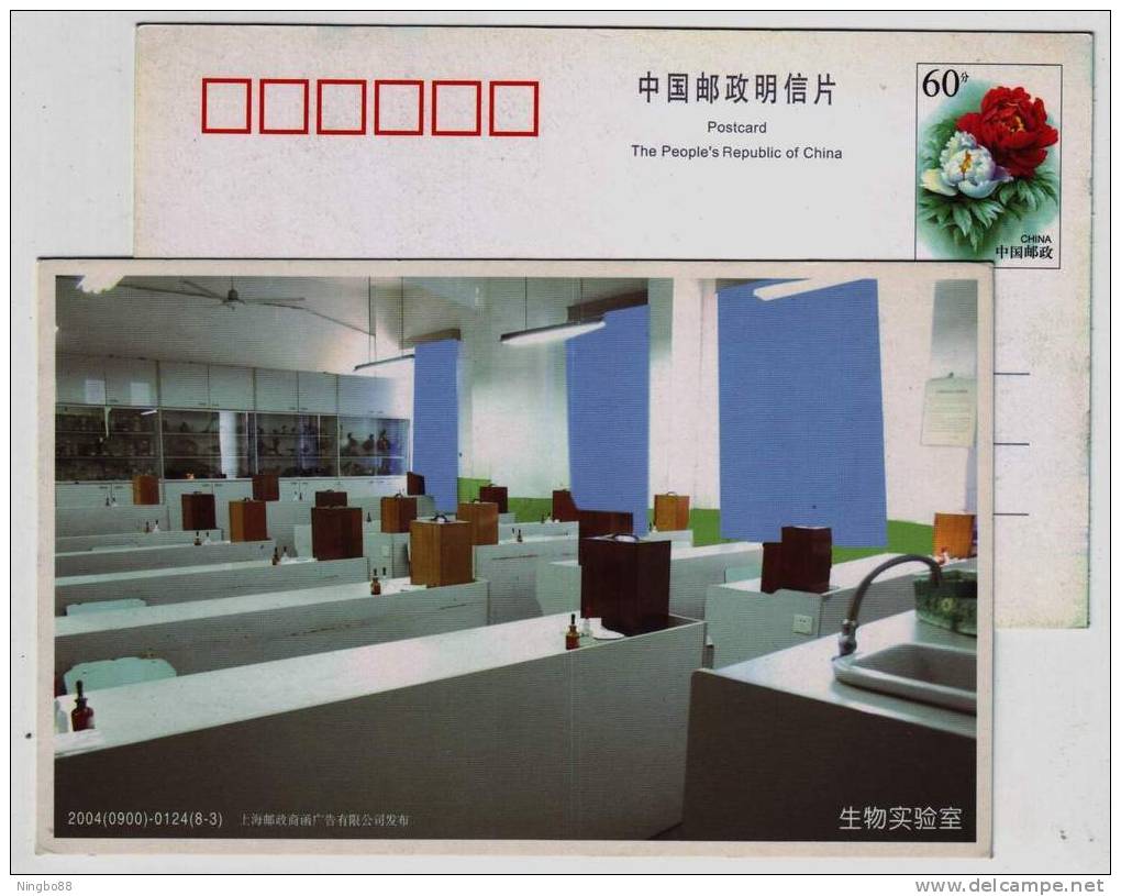 Biological Laboratory,China 2004 Honghu High School Advertising Pre-stamped Card - Química