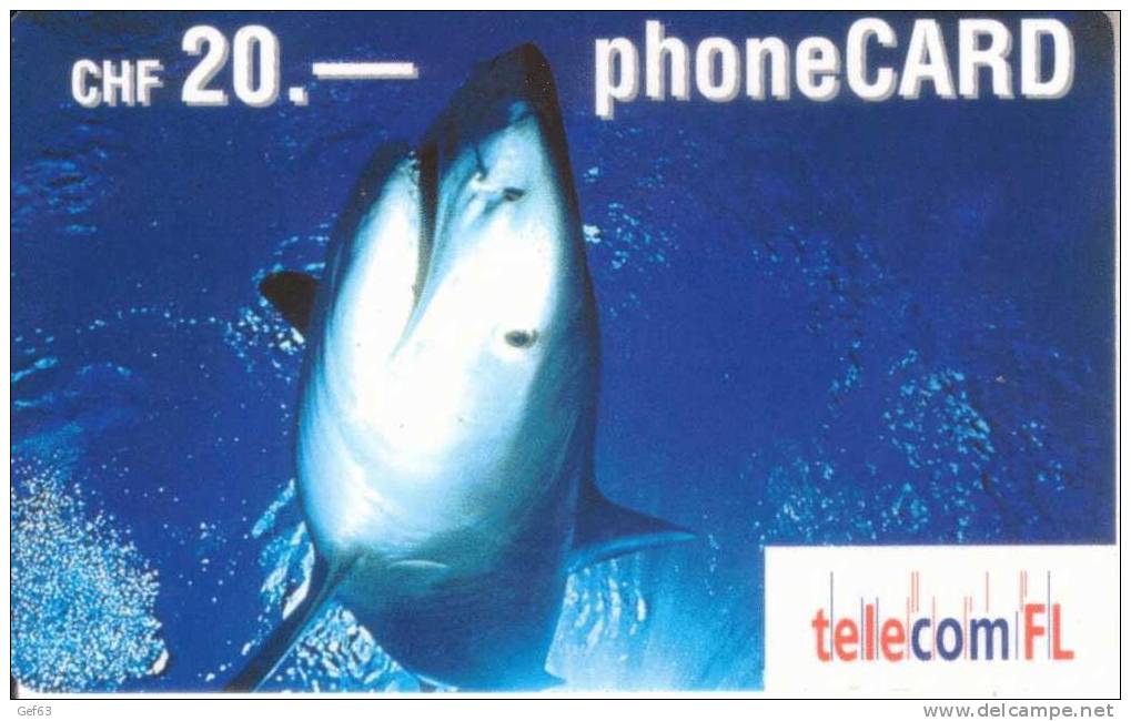 Prepaid Card Telecom FL ° Requin / Shark / Squalo - Poissons