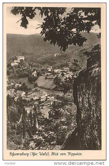 D-07427 Schwarzburg (Thüringen) , Blick Vom Trippstein - Saalfeld