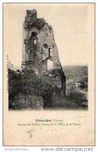 CHAUVIGNY..Ruines Du Chateau - Chauvigny