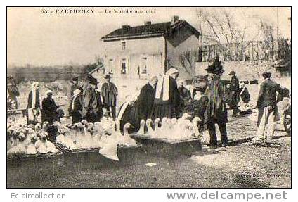 Parthenay       79     Le Marché Aux Oies    (voir Scan) - Parthenay