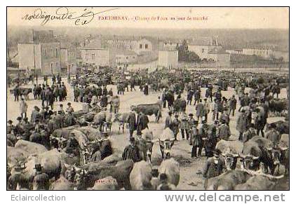 Parthenay    79    Champ De Foire.. Jour De .. Marché - Parthenay