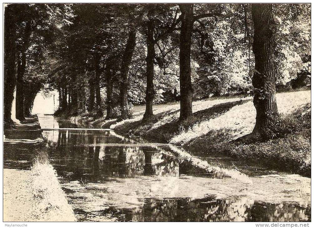 Annevoie Le Grand Canal - Profondeville