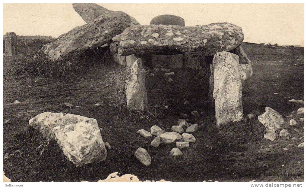 CARNAC (entrée Dolmen De KERMARIO) - Dolmen & Menhire