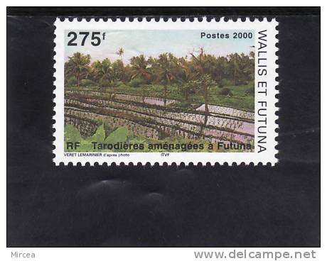 C4155 - Wallis Et Futuna , 2000 , Yv.no.540  , Neuf** - Nuovi