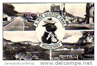 Real Photo PCd. Multi-View Of  PITLOCHRY-- Perthshire-- SCOTLAND - Perthshire