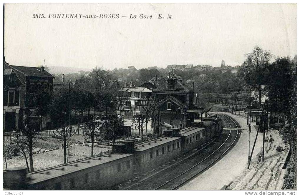 92  - FONTENAY Aux ROSES - LE TRAIN Arrivant En GARE - Fontenay Aux Roses