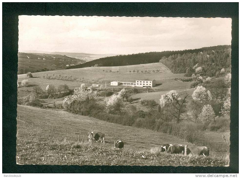 CPSM - Schullandheim Der Mittelschule NEUNKIRCHEN B. Berschweiler - Saar ( FALK - EICH) - Kreis Neunkirchen