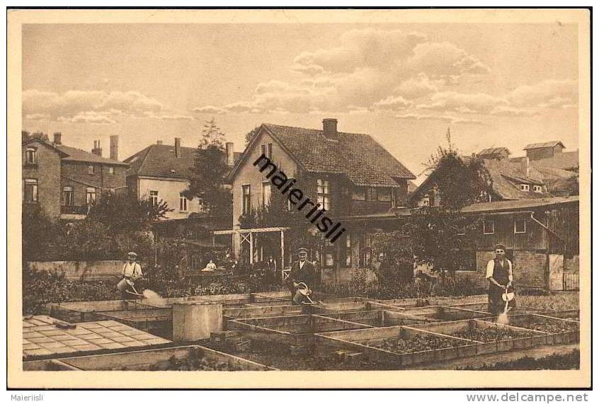 Hameln - Gärtnerei - Gartenbaubetrieb T. Menzel - Hameln (Pyrmont)