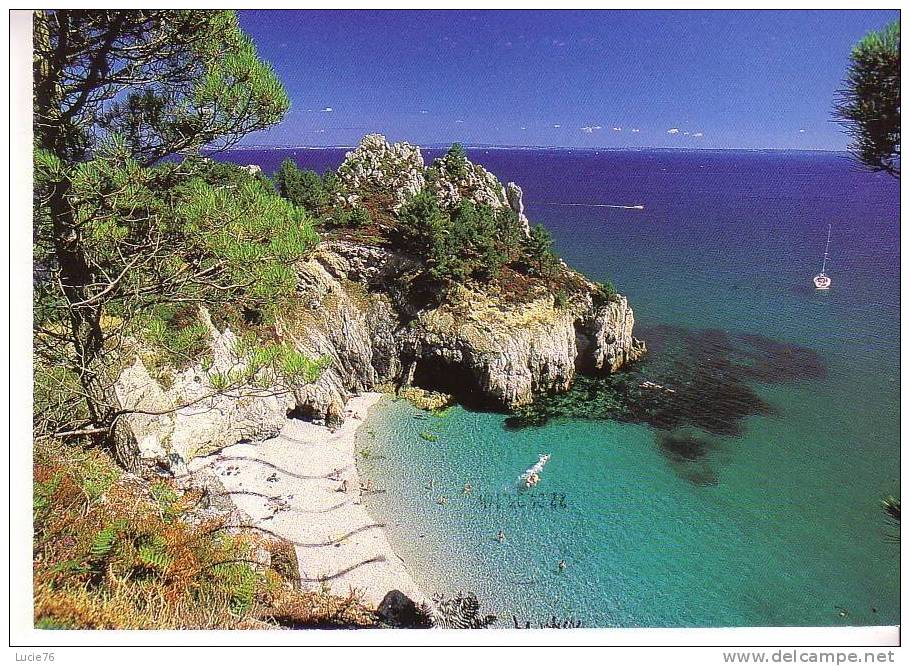 CROZON -  Les Falaises Et Plages - - Crozon