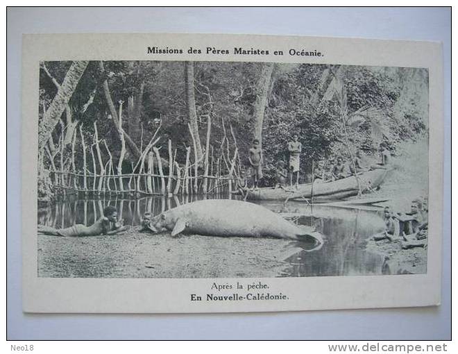 NOUVELLE CALEDONIE Dugong, Apres La Peche - Nouvelle Calédonie