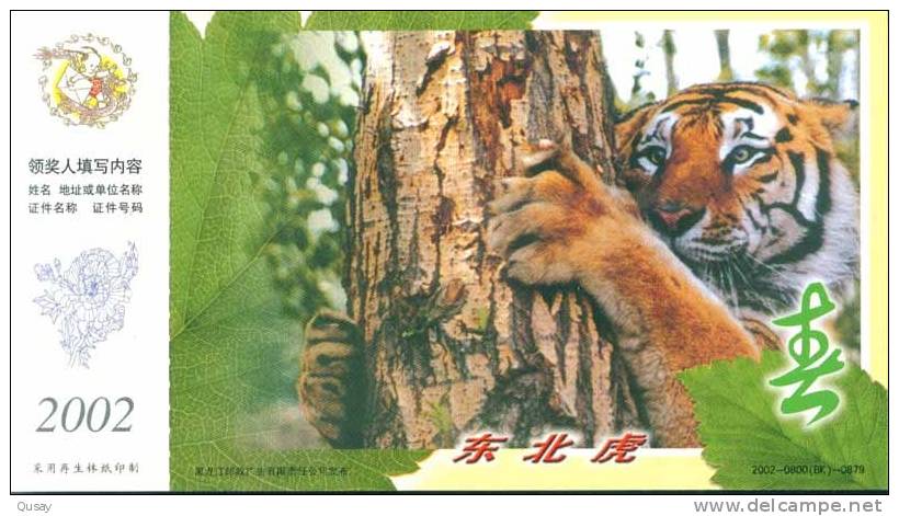 Manchurian Tiger , Rare Animal    , Pre- Stamped Card , Postal Stationery - Rhinocéros