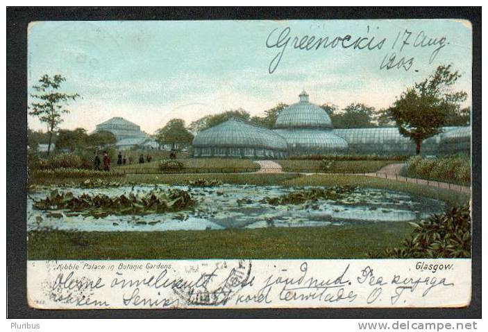 1903 SCOTLAND GLASGOW, KIBBLE PALACE IN BOTANIC GARDENS, VINTAGE PC - Lanarkshire / Glasgow