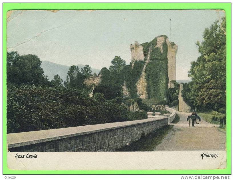 KILLARNEY, IRELAND - ROSS CASTLE - ANIMATED - CARD TRAVEL IN 1906 - W.LAWRENCE PUB. - - Kerry