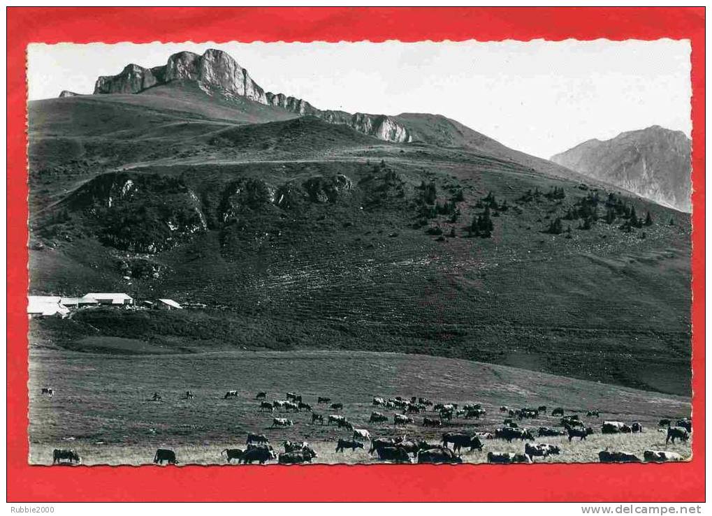 THOLLON 1957 LES MEMISES ET CHALETS LE PIC BOREE ET LA DENT D OCHE VACHES AU PATURAGE CARTE EN BON ETAT - Thollon