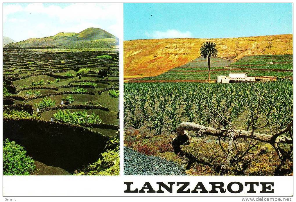 LANZAROTE NV - Lanzarote