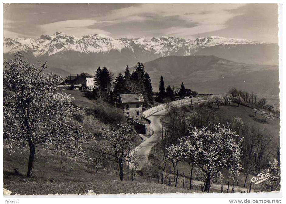 1955-Route De Grenoble Au Col De Porte Et La Chaine De Belledonne, Csm Gd Format N° 1171 éd André - La Côte-Saint-André