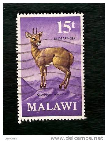 Malawi - Klipspringer - Scott # 154 - Malawi (1964-...)