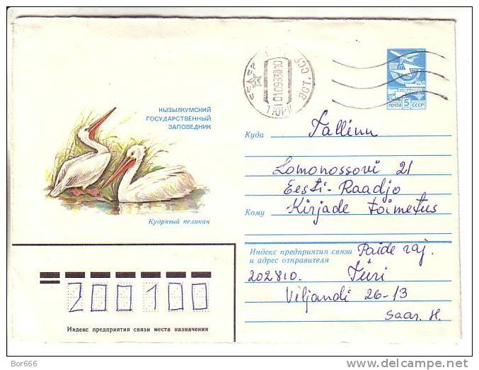 GOOD USSR Postal Cover 1983 - Pelicans - Pelícanos