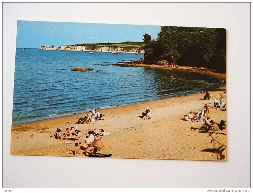 Studland Beach  -Dorset  VF   D30417 - Altri & Non Classificati