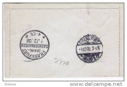 Mad008 -FUNCHAL - / K 5, Kartenbrief, Funchal 1902 Nach Frankfurt/M - Funchal