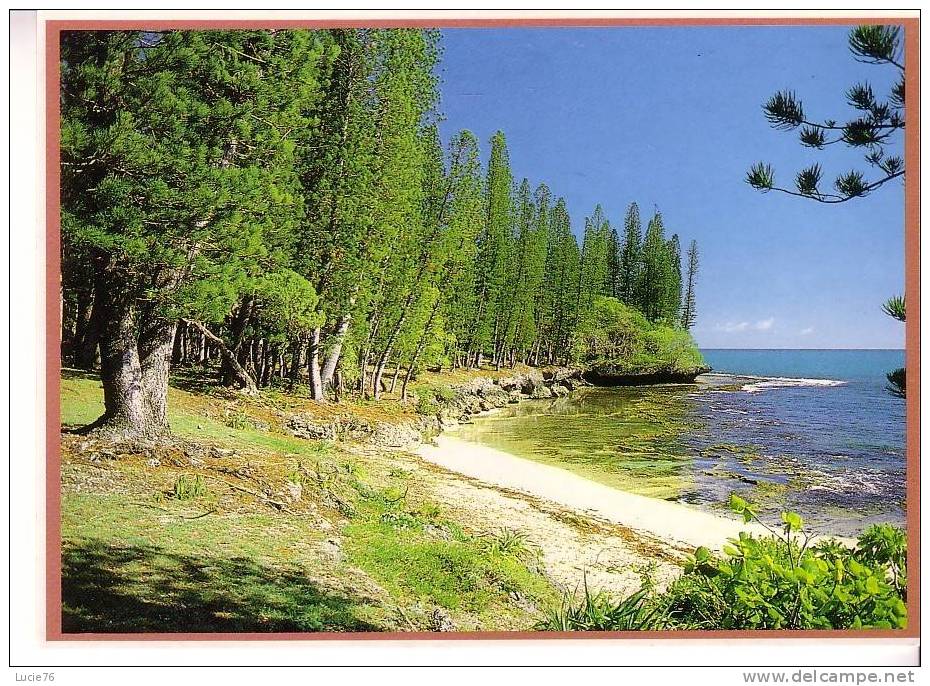 NOUVELLE CALEDONIE  - ILE DES PINS - Presqu´ile De KUTO  - N° 846 - Nouvelle Calédonie