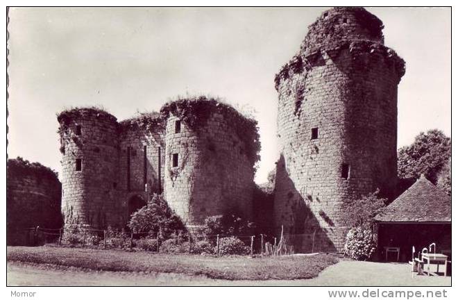 Environs De LANNION Château De Tonquédec - Lannion