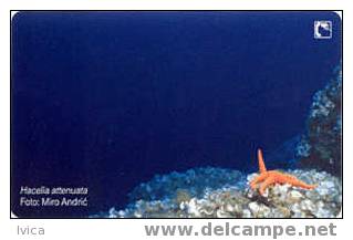 CROATIA - 2006/TK16 Undersea - Hacelia Attenuata - 15 Kn - 08/06 - Croatia