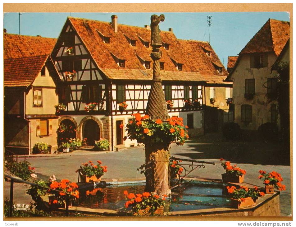 Dambach-La-Ville, Fontaine Fleurie - Barr