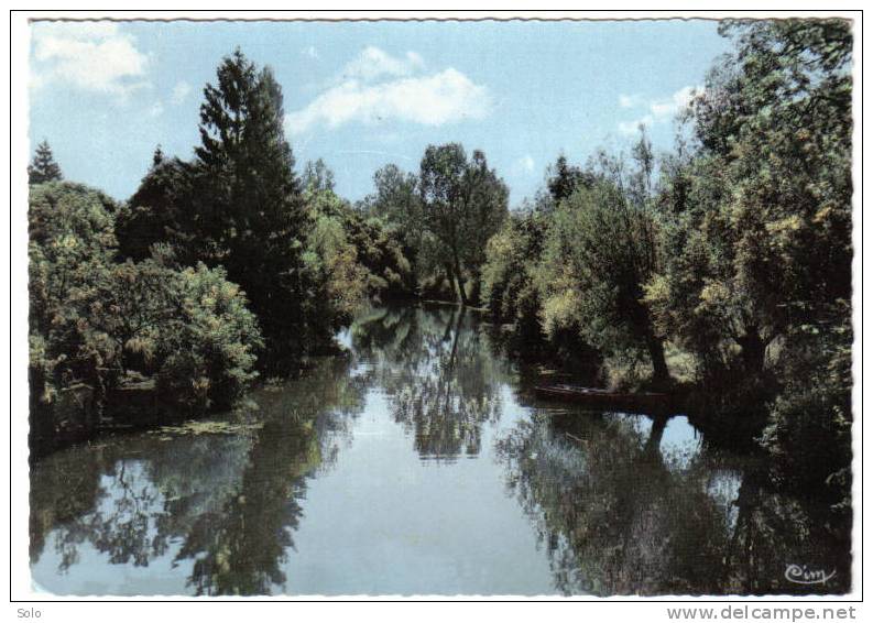 PONT DE VAUX - Les Bords De La Reyssouze - Pont-de-Vaux