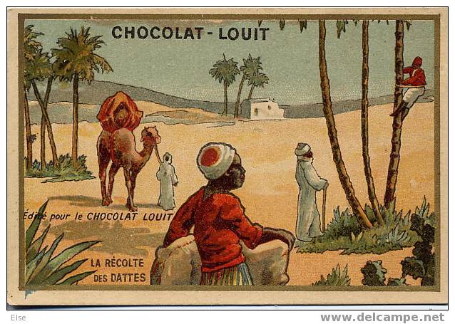 LA RECOLTE DES DATTES   -  CHROMO PUB CHOCOLAT LOUIT - Chocolade