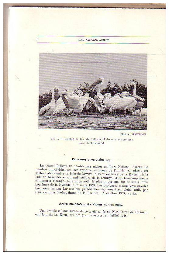 Exploration Du Parc Albert Congo Ornithologie  Ecologie Et Biologie Des Cheirpoteres 1966 Chauve-souris - Sciences