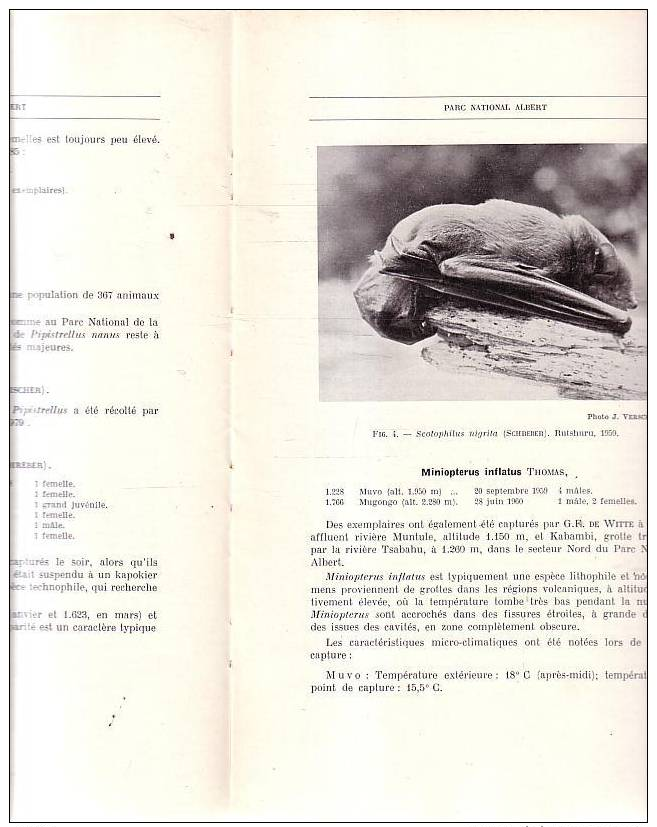 Exploration Du Parc Albert Congo Ornithologie  Ecologie Et Biologie Des Cheirpoteres 1966 Chauve-souris - Sciences