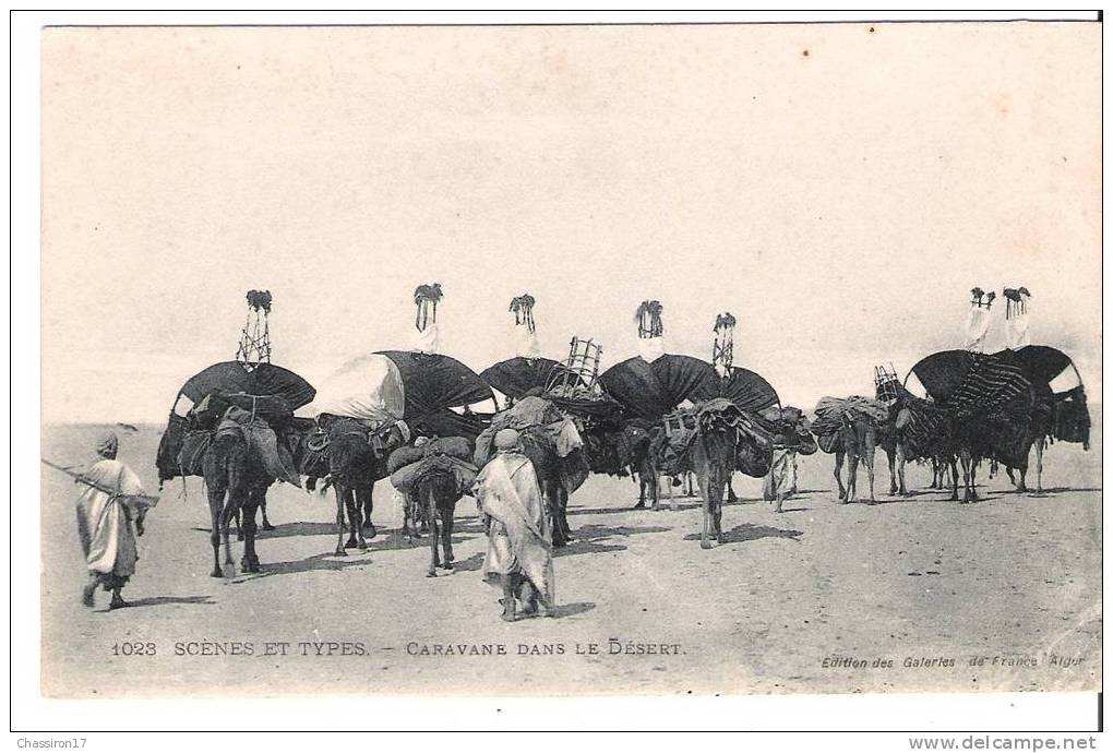 AFRIQUE -  SCENES ET TYPES  -  Caravane Dans Le Désert - Men