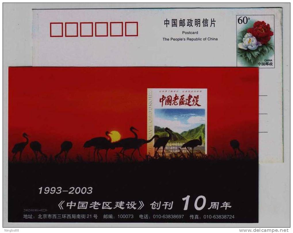 Red-crowned Crane Bird,China 2002 Laoqu Magazine Publishing Advertising Pre-stamped Card - Kranichvögel