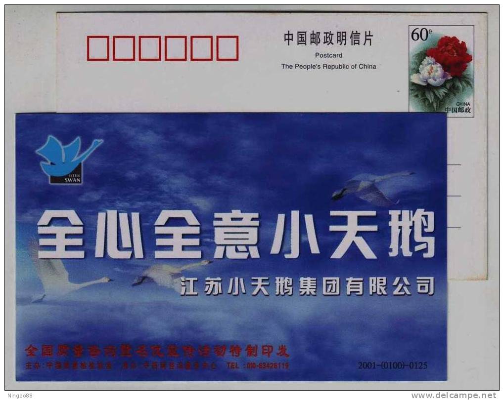 Whooper Swan Bird,China 2001 Jiangsu Little Swan Group Advertising Pre-stamped Card - Cygnes