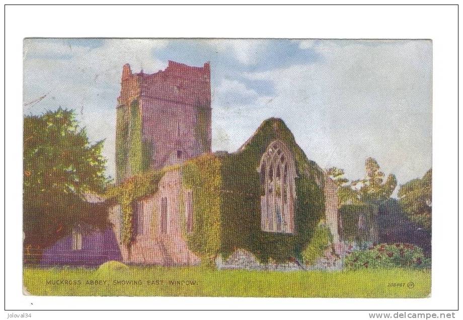 IRLANDE - MUCKROSS ABBEY, Showing East Window - Kerry