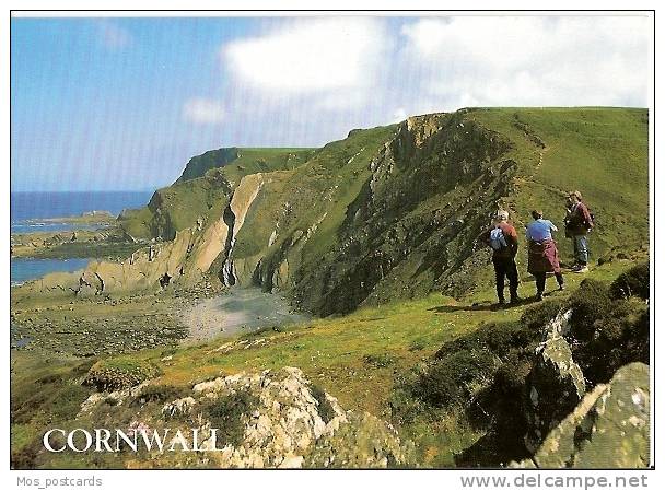 Cornwall - The Cliffs, Morwenstow  F308 - Other & Unclassified