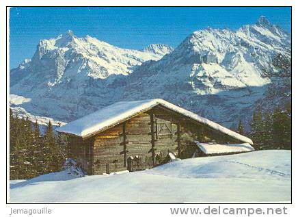Bei Grindelwald Wetterhorn Und Schreckhorn - Suisse - 15.3.1976 - Grindelwald