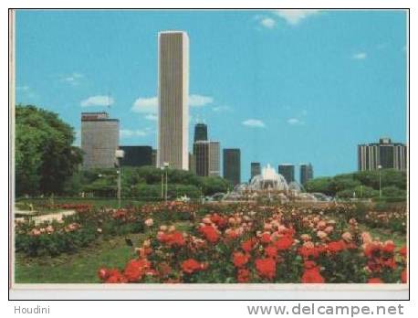 Chicago Skyline - Seen From Grant Park With The Buckingam Fountaine And Beautiful Flowers - Chicago