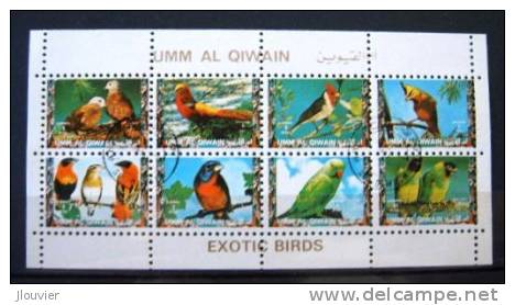 Bloc-Feuille 8 Timbres : Oiseaux Exotiques. Exotic Birds : Perroquets Et Pinsons. Umm-Al-Qiwain. Michel N° 1258A-1265A. - Pappagalli & Tropicali