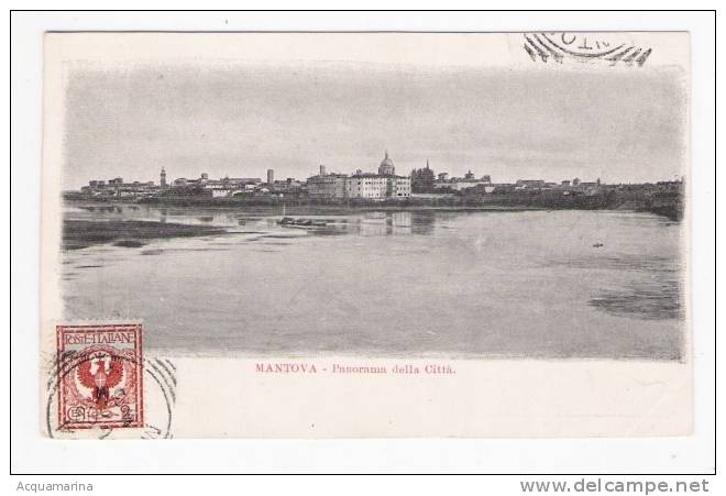 MANTOVA - Panorama - Cartolina FP V - Mantova