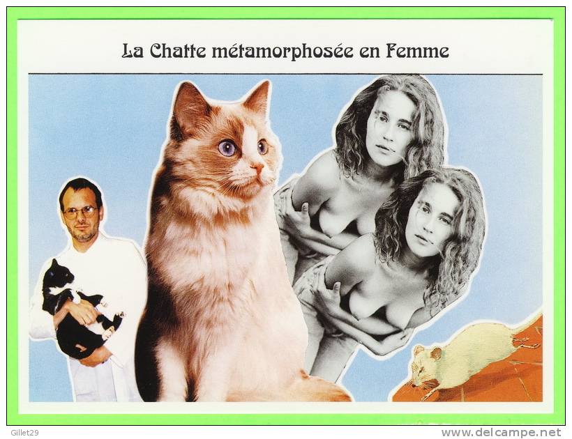 FABLES DE LA FONTAINE - LA CHATTE MÉTAMORPHOSÉE EN FEMME - MONTMORILLON, 2003 - ÉDITIONS LIMITÉE 1000 Ex - J.P. BARZAZI - Contes, Fables & Légendes