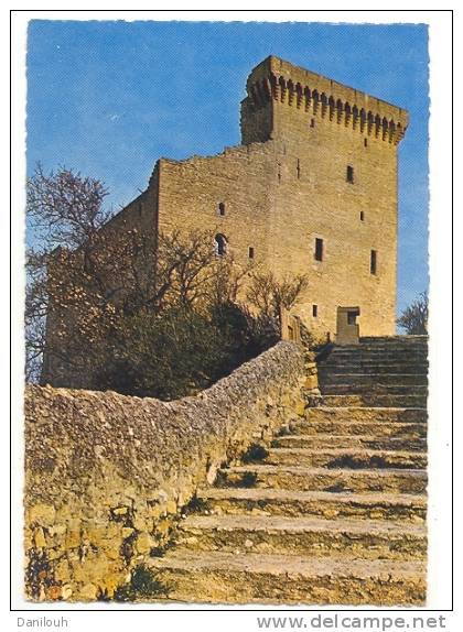 84 /FL/ CHATEAUNEUF DU PAPE, Le Chateau, Résidence D'été Des Papes D'Avignon, CPSM 150 X 105 Ed Cellard - Chateauneuf Du Pape